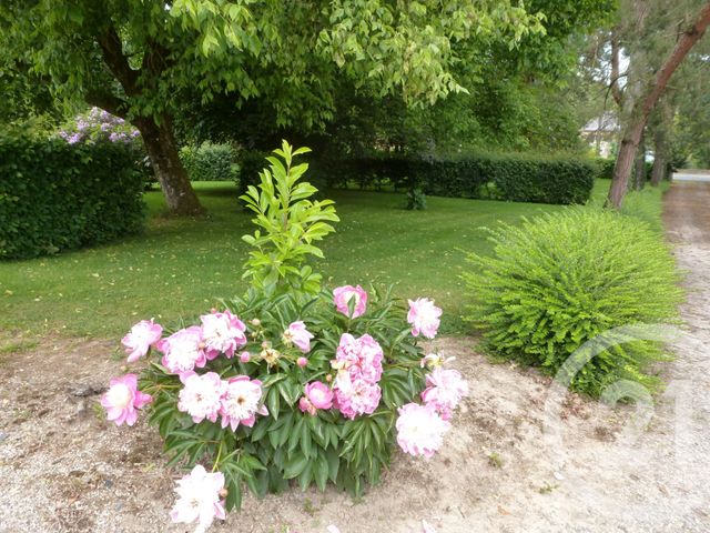 Maison à vendre - 12 pièces - 374,51 m2 - Vitre - 35 - BRETAGNE