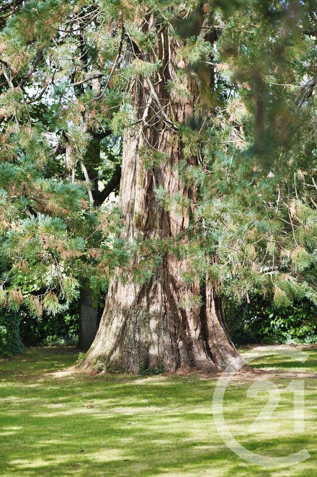 Maison à vendre - 12 pièces - 374,51 m2 - Vitre - 35 - BRETAGNE