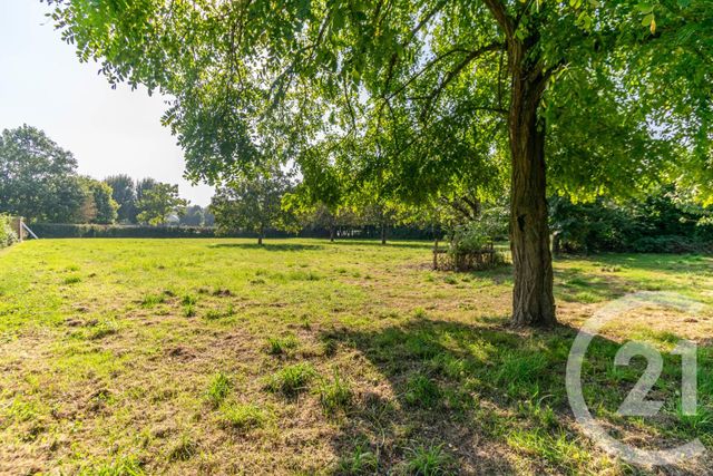 Terrain à vendre - 2450 m2 - Quelaines St Gault - 53 - PAYS-DE-LOIRE