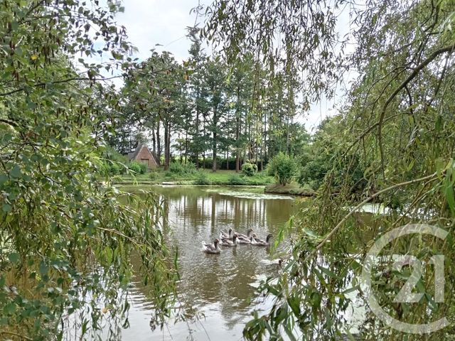 Terrain à vendre - 23829 m2 - Meslay Du Maine - 53 - PAYS-DE-LOIRE