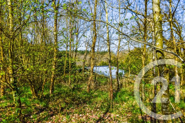 Maison à vendre - 4 pièces - 88,37 m2 - Ruille Froid Fonds - 53 - PAYS-DE-LOIRE