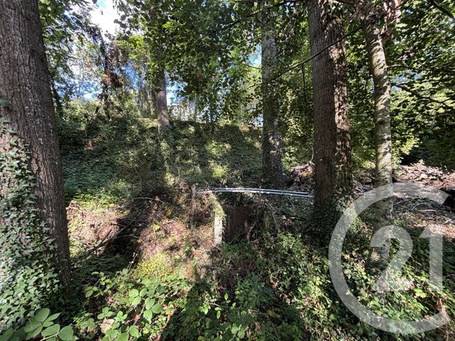 Terrain à vendre - 15891 m2 - Chateau Gontier - 53 - PAYS-DE-LOIRE