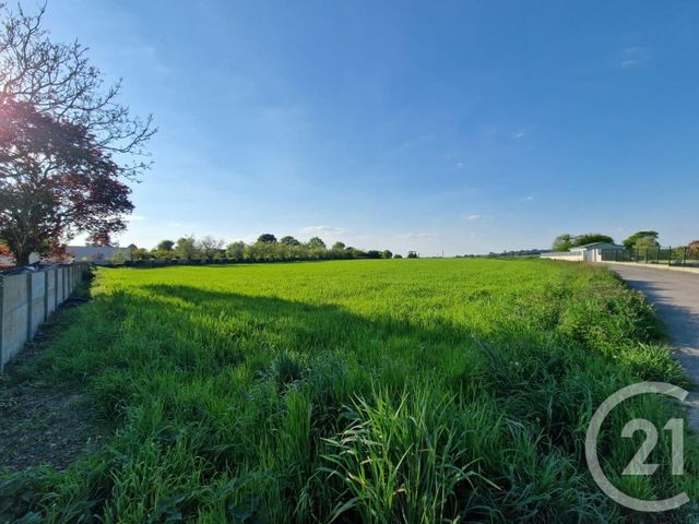 Afficher la photo en grand Terrain à vendre - 5280 m2 - Mauron - 56 - BRETAGNE