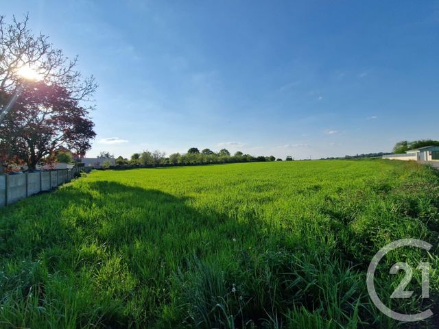 terrain - MAURON - 56