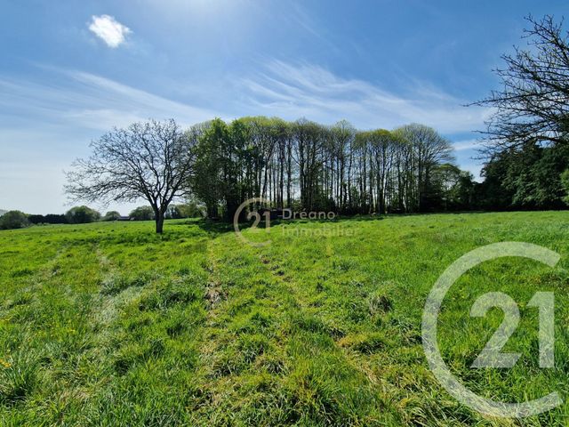 Maison &agrave; vendre - 8 pi&egrave;ces - 158,47 m2 - Meneac - 56 - BRETAGNE