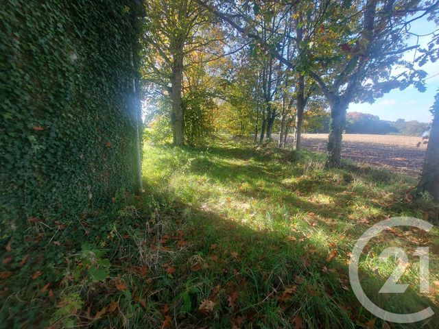 Maison à vendre - 9 pièces - 250 m2 - Hede Bazouges - 35 - BRETAGNE