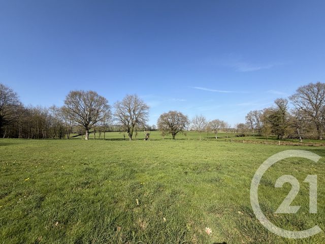 Maison &agrave; vendre - 14 pi&egrave;ces - 383,90 m2 - Noyal Sous Bazouges - 35 - BRETAGNE