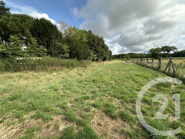 Maison à vendre - 6 pièces - 190,50 m2 - St Leger Des Pres - 35 - BRETAGNE