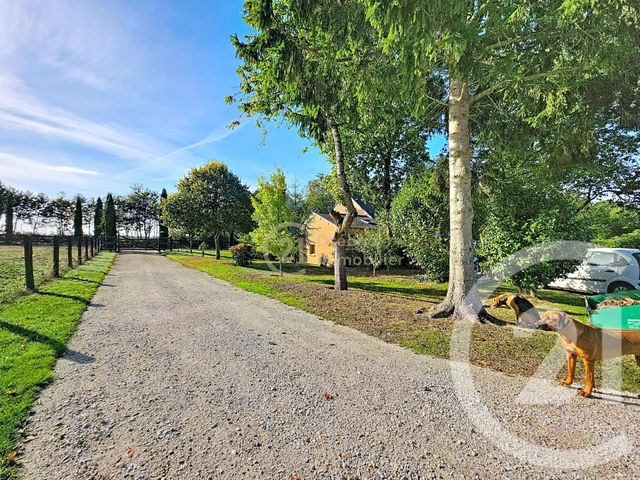 Maison &agrave; vendre - 11 pi&egrave;ces - 162 m2 - Pleugueneuc - 35 - BRETAGNE