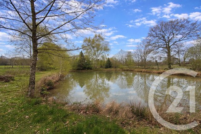 Terrain &agrave; vendre - 5230 m2 - Marcille Raoul - 35 - BRETAGNE