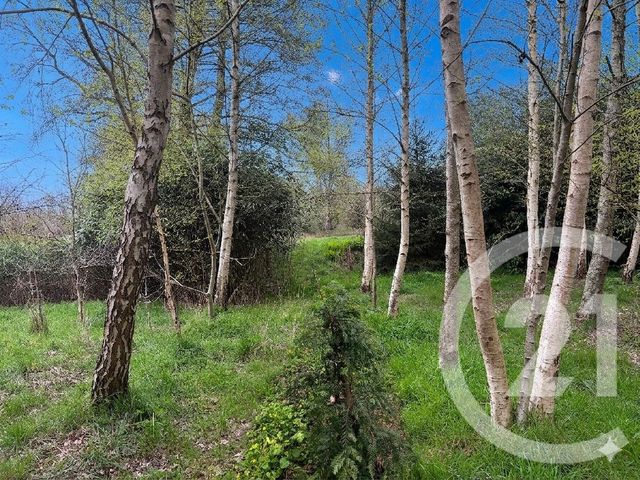 Terrain &agrave; vendre - 5230 m2 - Marcille Raoul - 35 - BRETAGNE