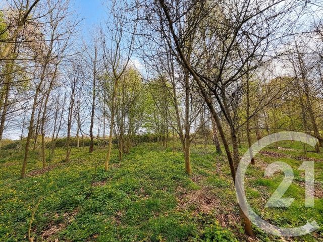 Terrain &agrave; vendre - 5230 m2 - Marcille Raoul - 35 - BRETAGNE