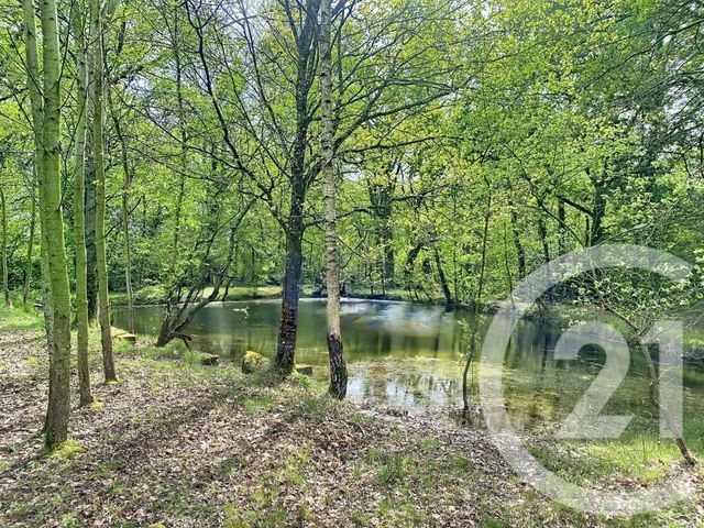 Terrain à vendre DINGE