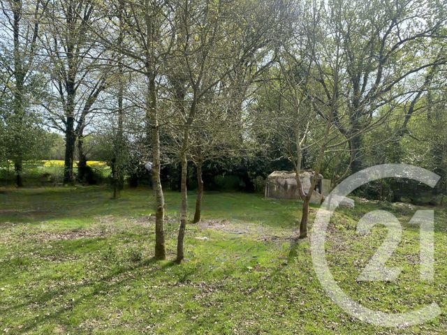 Terrain &agrave; vendre - 5350 m2 - Dinge - 35 - BRETAGNE