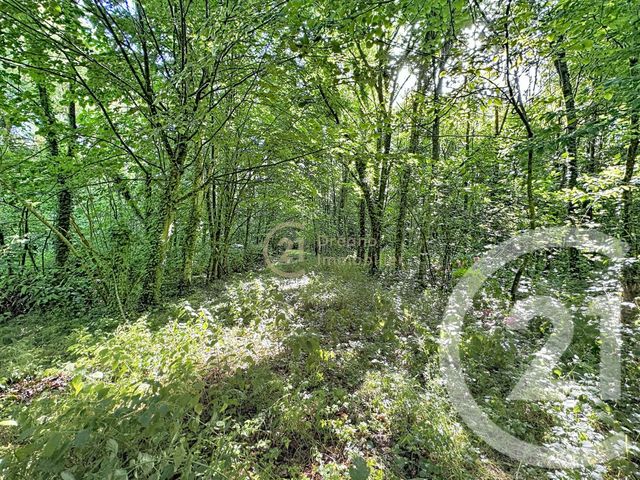 Terrain &agrave; vendre - 8320 m2 - St Pierre De Plesguen - 35 - BRETAGNE