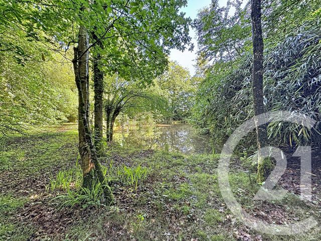 Terrain &agrave; vendre - 8320 m2 - St Pierre De Plesguen - 35 - BRETAGNE