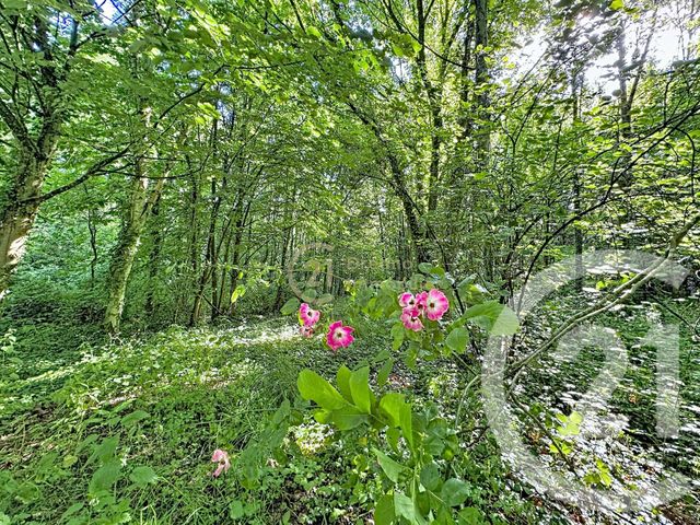 Terrain &agrave; vendre - 8320 m2 - St Pierre De Plesguen - 35 - BRETAGNE