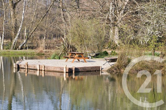 Terrain &agrave; vendre - 65904 m2 - Combourg - 35 - BRETAGNE