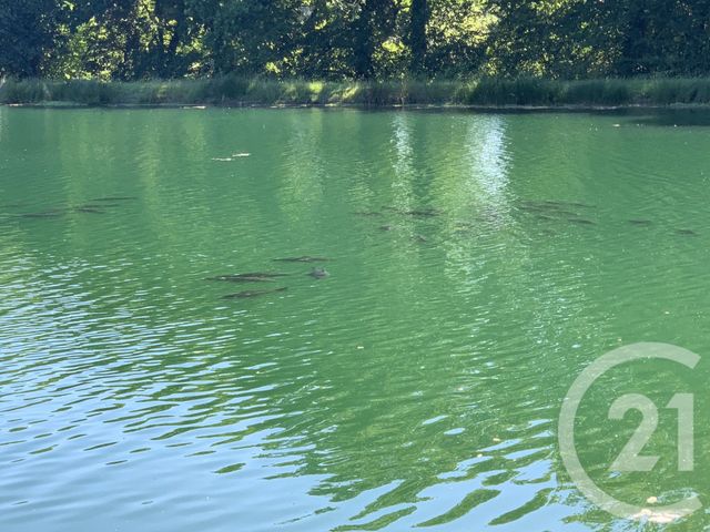 Terrain &agrave; vendre - 65904 m2 - Combourg - 35 - BRETAGNE