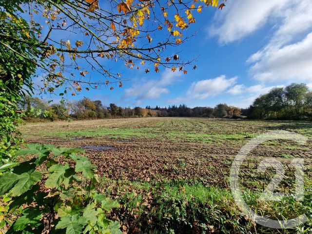 Maison &agrave; vendre - 7 pi&egrave;ces - 157,96 m2 - Gomene - 22 - BRETAGNE