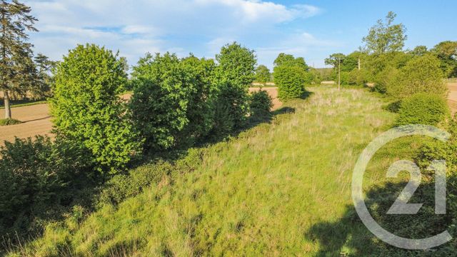 Terrain à vendre LANRIGAN