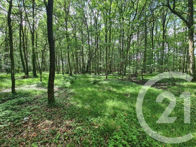 Terrain &agrave; vendre - 27800 m2 - Combourg - 35 - BRETAGNE