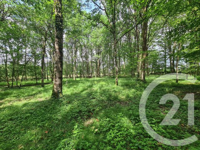 Terrain &agrave; vendre - 27800 m2 - Combourg - 35 - BRETAGNE