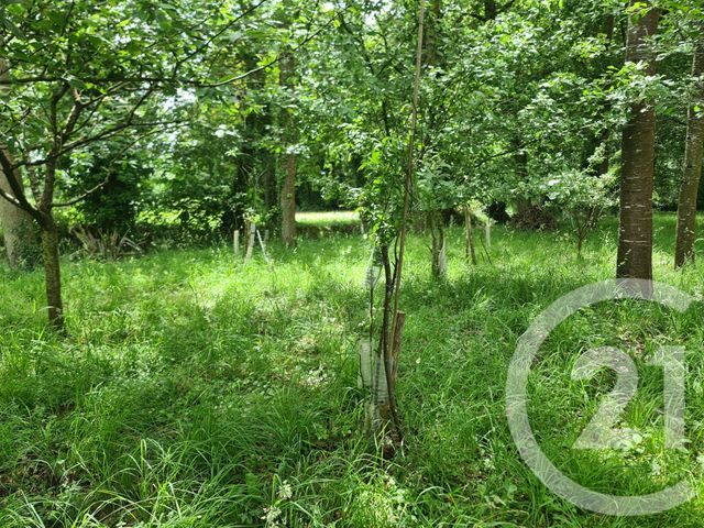 Terrain &agrave; vendre - 27800 m2 - Combourg - 35 - BRETAGNE