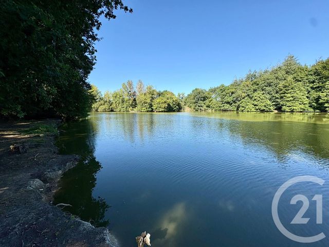 Divers &agrave; vendre - 50000 m2 - Cuguen - 35 - BRETAGNE