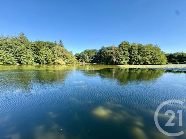 Divers &agrave; vendre - 50000 m2 - Cuguen - 35 - BRETAGNE