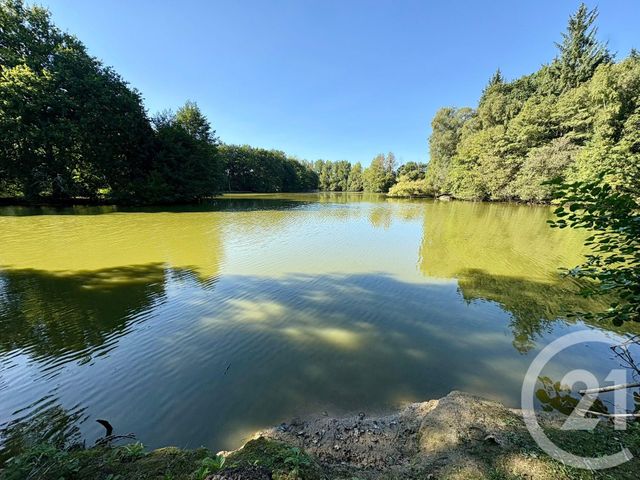 Divers &agrave; vendre - 50000 m2 - Cuguen - 35 - BRETAGNE