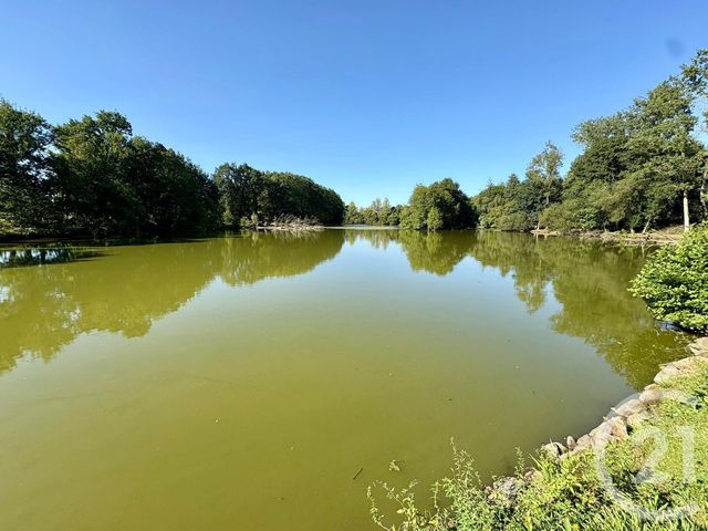 Divers &agrave; vendre - 50000 m2 - Cuguen - 35 - BRETAGNE