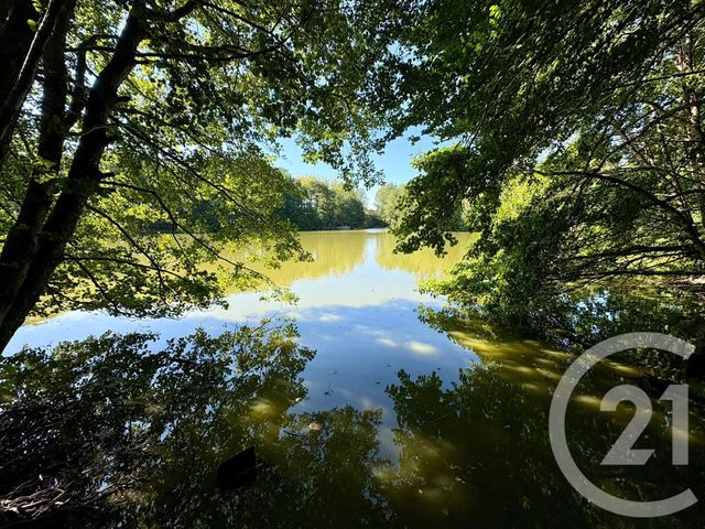 Divers &agrave; vendre - 50000 m2 - Cuguen - 35 - BRETAGNE