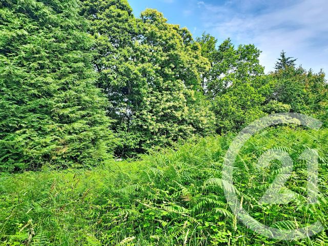 Terrain &agrave; vendre - 5900 m2 - Quebriac - 35 - BRETAGNE