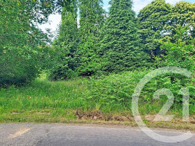 Terrain &agrave; vendre - 5900 m2 - Quebriac - 35 - BRETAGNE
