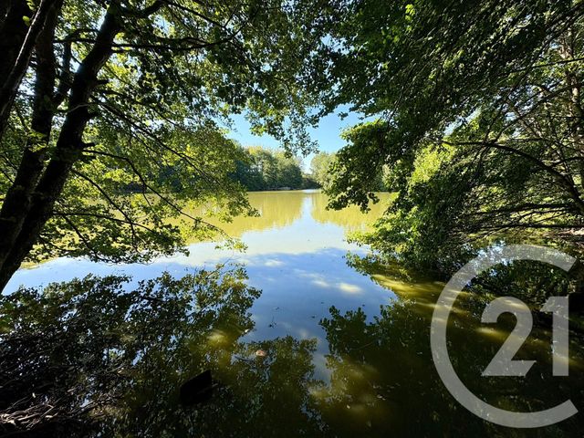 Terrain &agrave; vendre - 64000 m2 - Cuguen - 35 - BRETAGNE