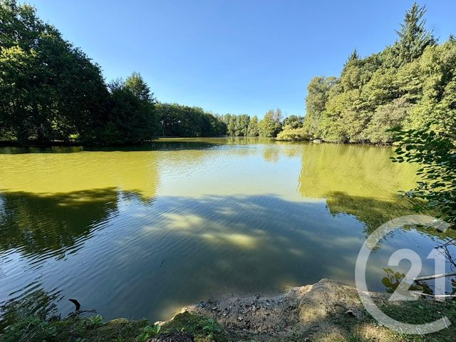 Terrain &agrave; vendre - 64000 m2 - Cuguen - 35 - BRETAGNE