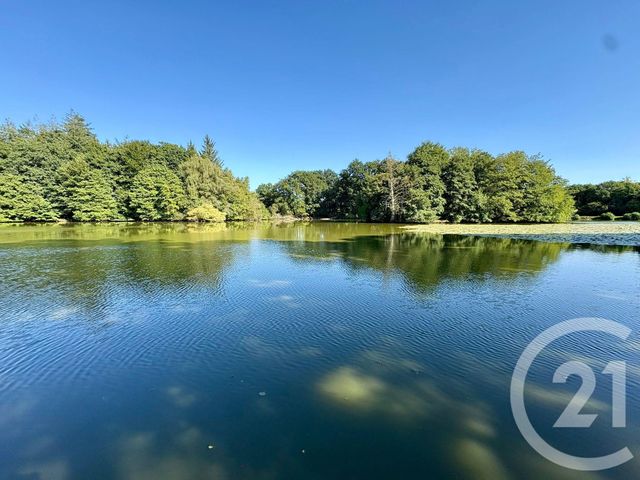 Terrain &agrave; vendre - 64000 m2 - Cuguen - 35 - BRETAGNE