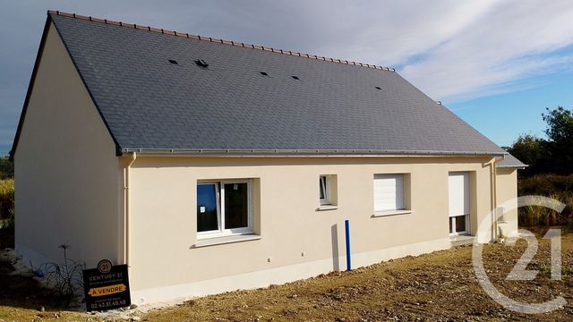 maison - NUILLE SUR VICOIN - 53
