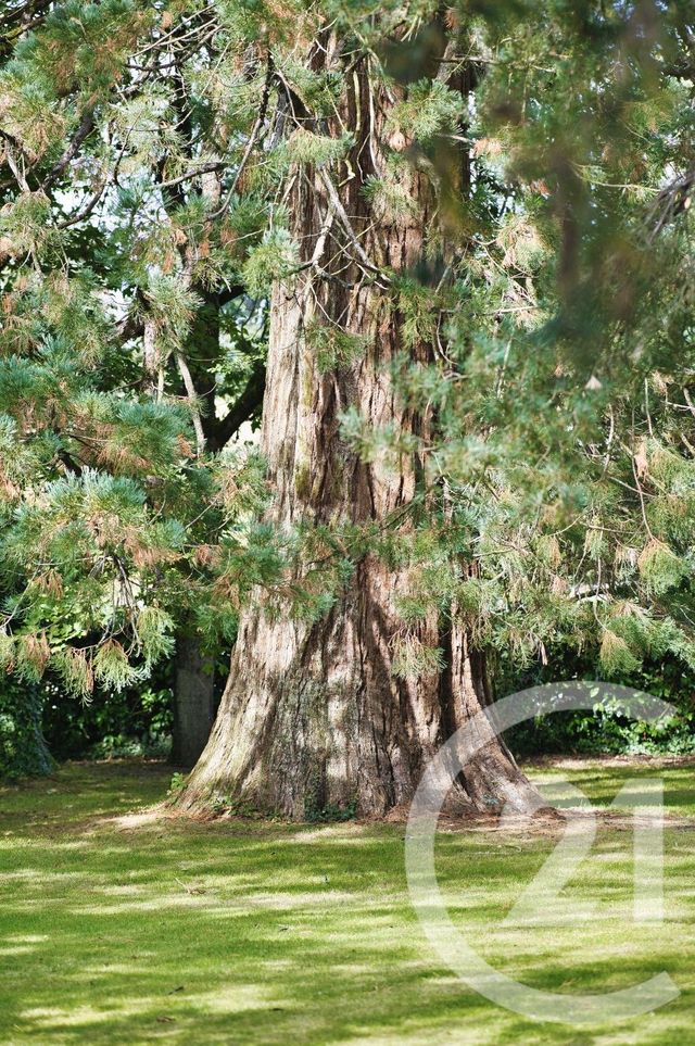 Maison &agrave; vendre - 12 pi&egrave;ces - 374,51 m2 - Vitre - 35 - BRETAGNE