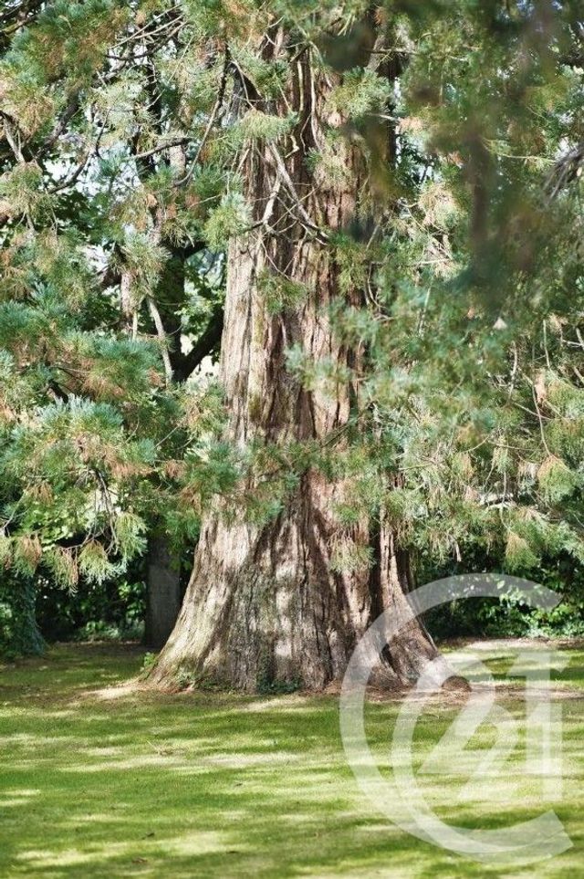 Maison &agrave; vendre - 12 pi&egrave;ces - 374,51 m2 - Vitre - 35 - BRETAGNE